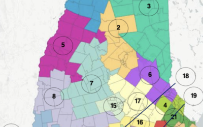 Redistricting 2022 by Jay Kahn